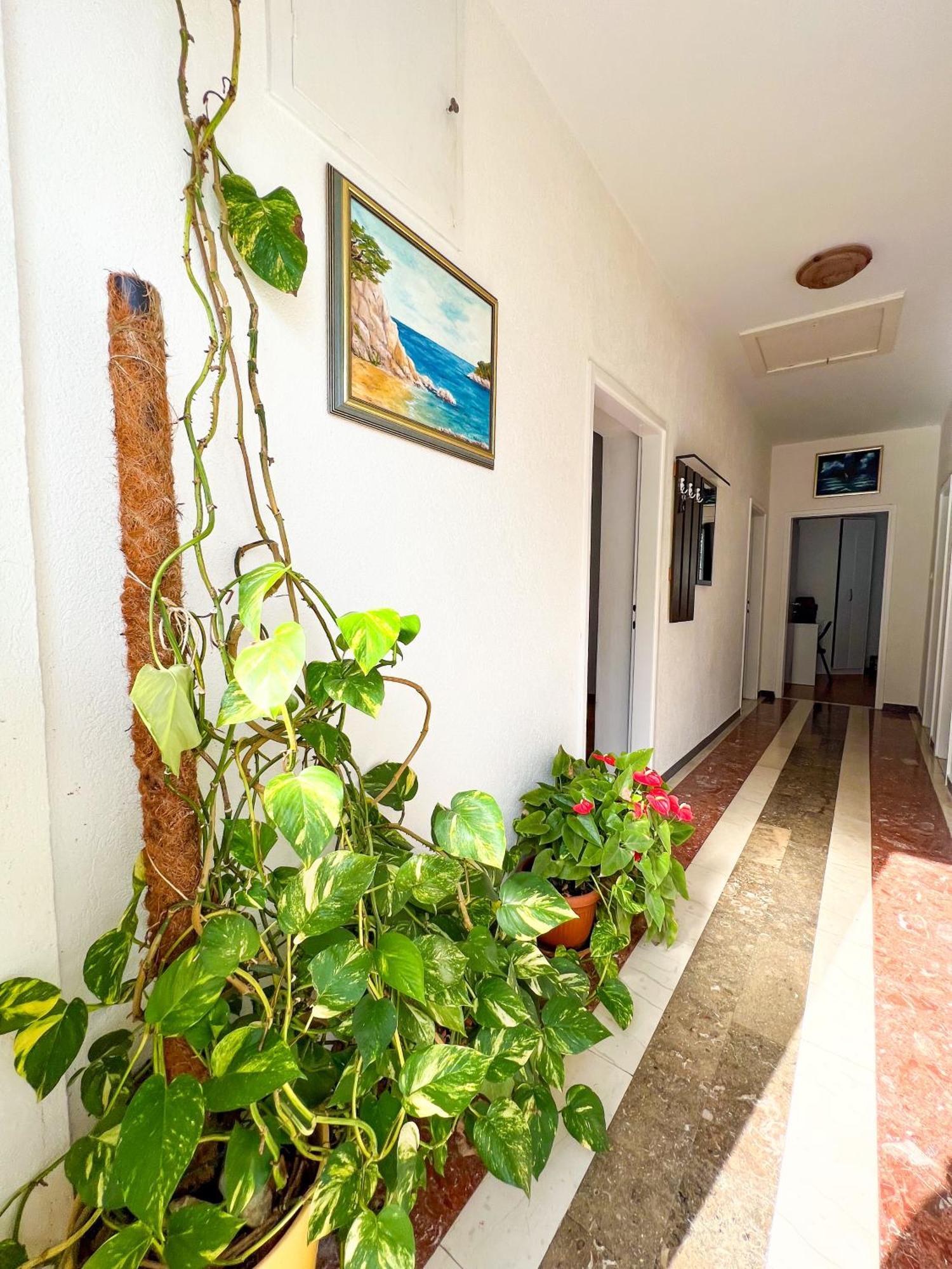 Apartment Bava Dubrovnik Eksteriør billede